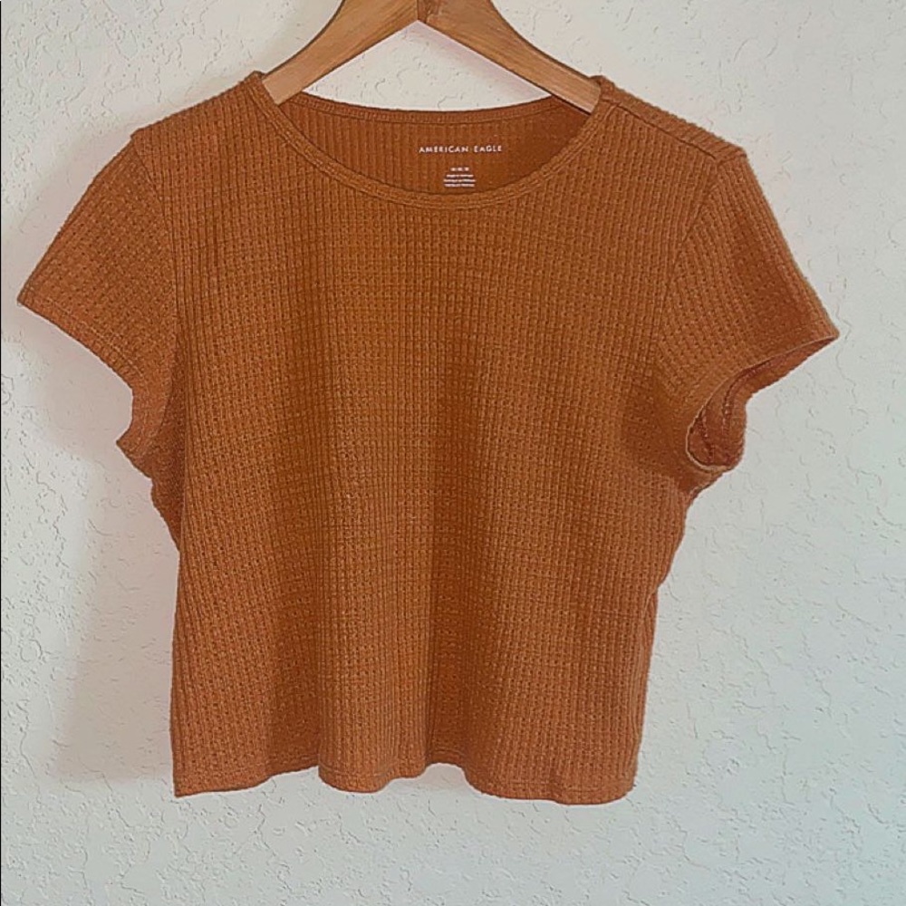 American Eagle Crop Top